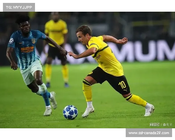 运动员实时心率与超高清画面在本季度同步 增强了竞技状态的解析深度