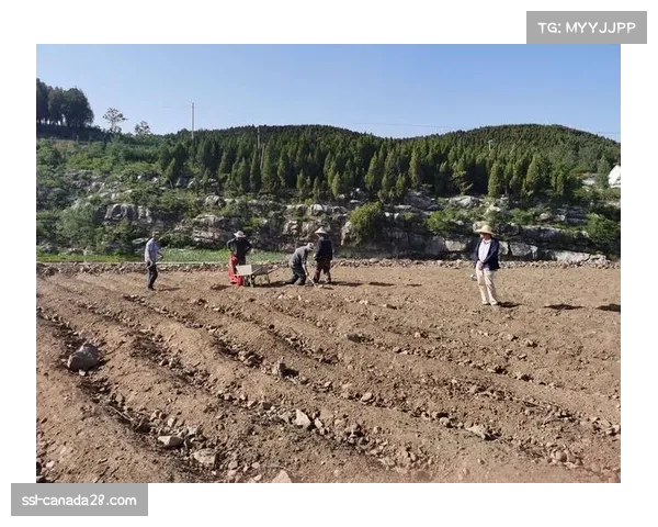 社区的力量：哥伦比亚小镇通过举办业余山地赛实现经济振兴